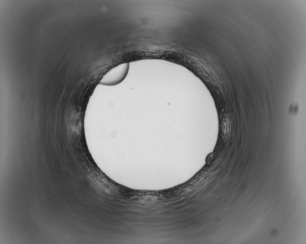 X0000099401204200806051200