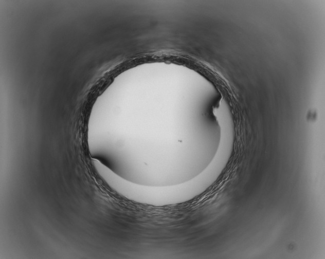 X0000099401207200806051200