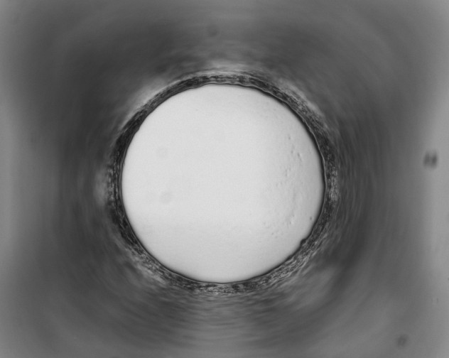 X0000099401208200806051200