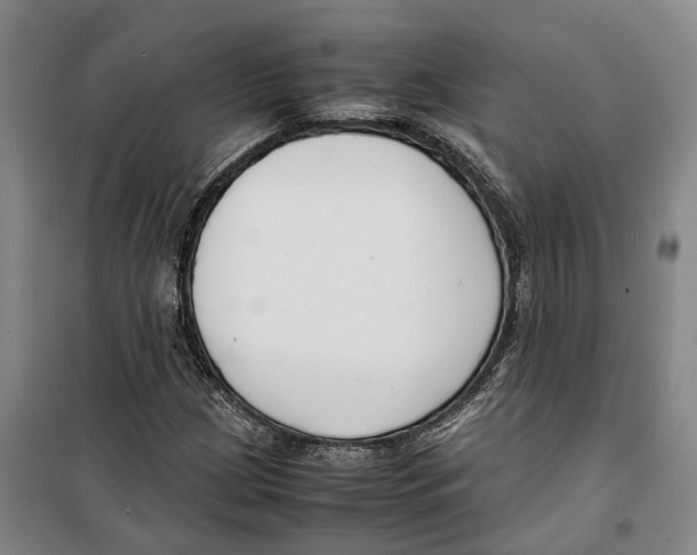 X0000099401209200806051200