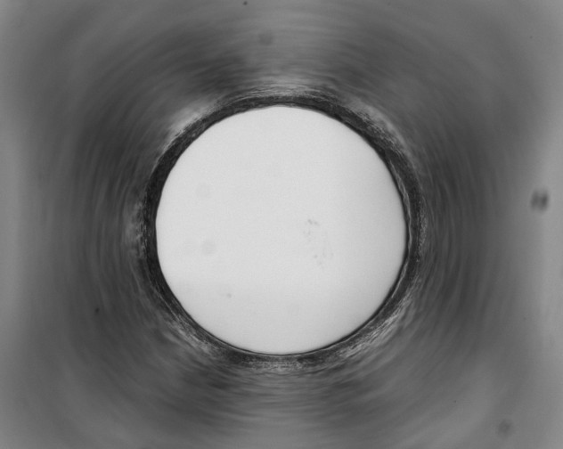 X0000099401210200806051200