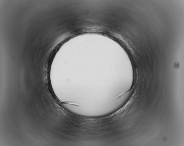 X0000099401211200806051200