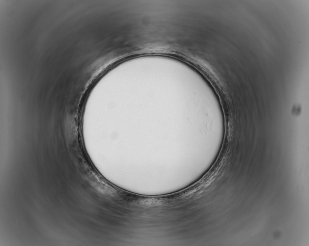 X0000099401212200806051200