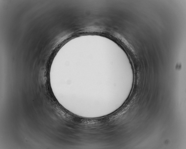 X0000099401213200806051200