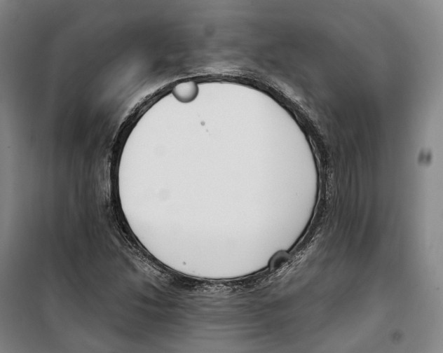 X0000099401214200806051200