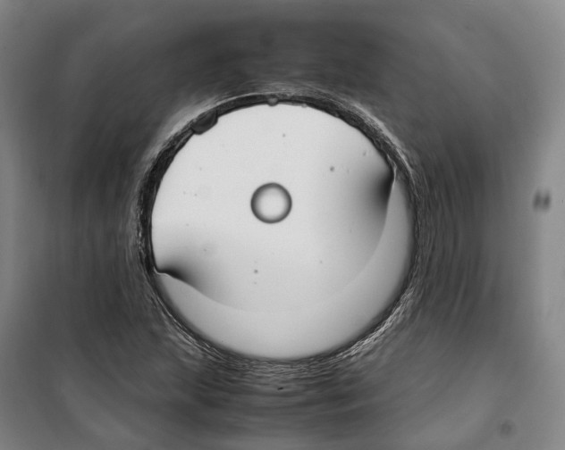 X0000099401215200806051200