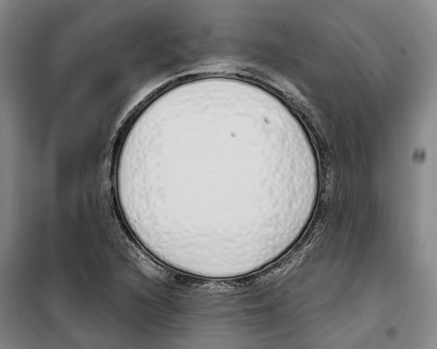 X0000099401216200806051200