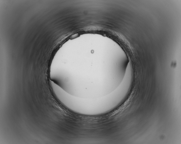 X0000099401217200806051200