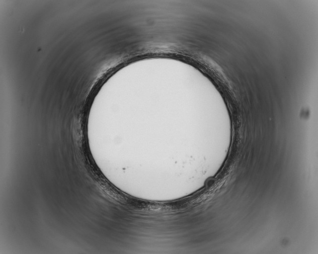 X0000099401218200806051200