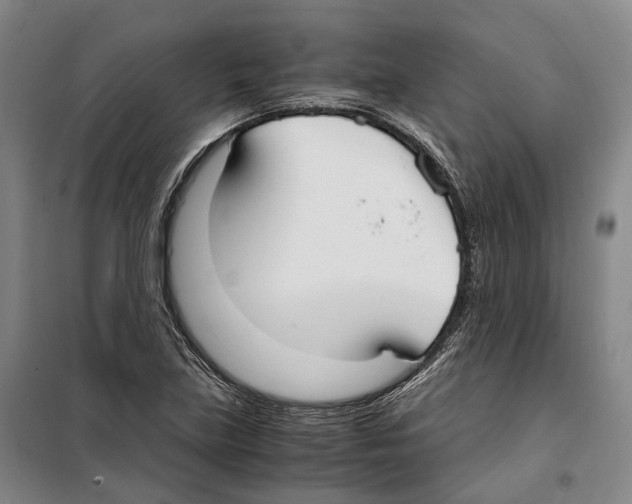 X0000099401219200806051200