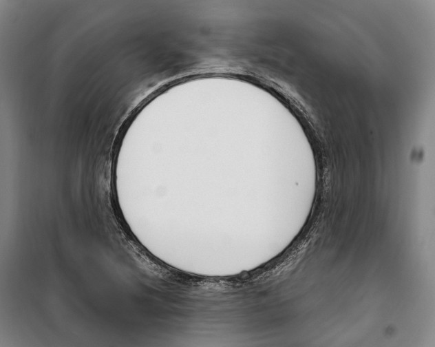 X0000099401220200806051200