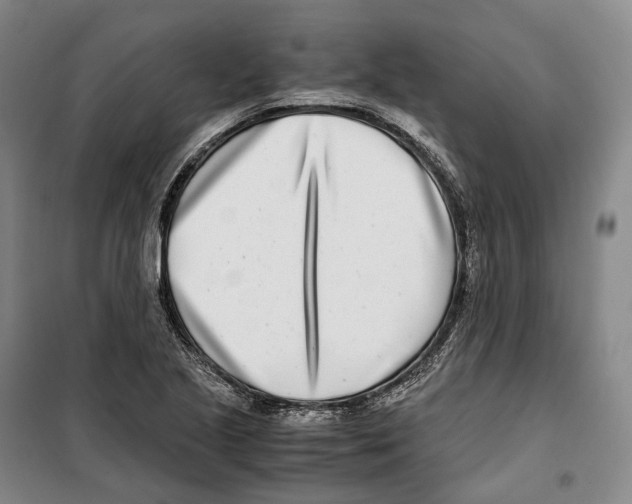 X0000099401221200806051200