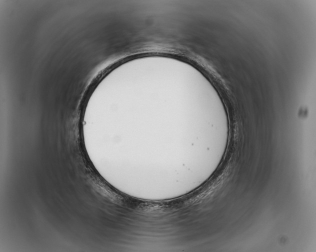 X0000099401222200806051200