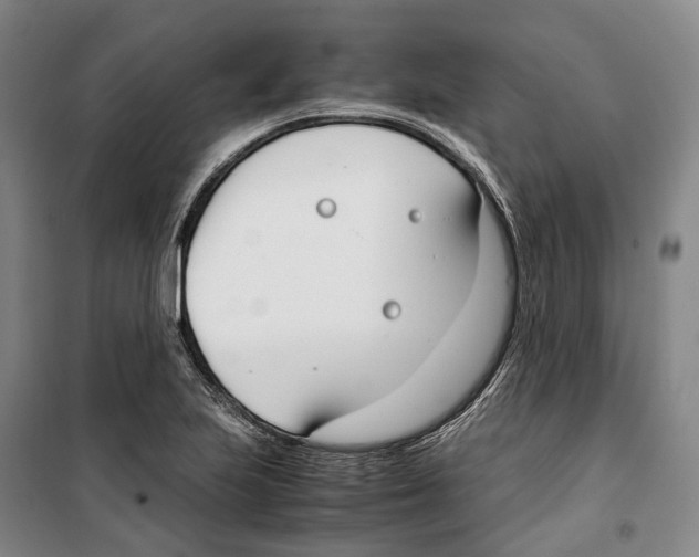 X0000099401223200806051200