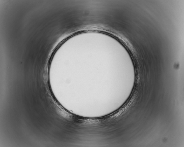 X0000099401224200806051200