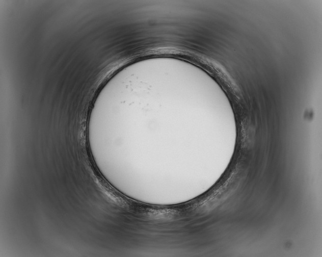 X0000099401225200806051200