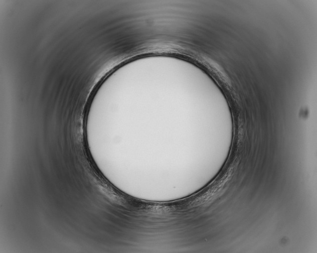 X0000099401226200806051200