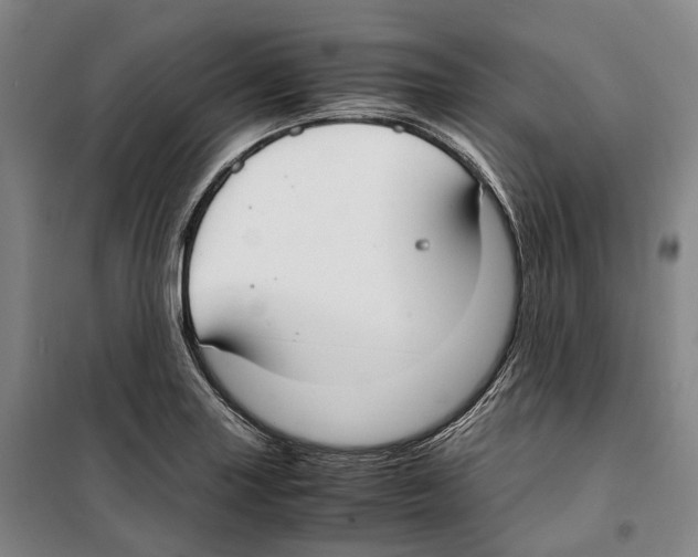 X0000099401227200806051200