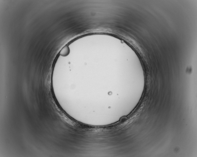 X0000099401228200806051200