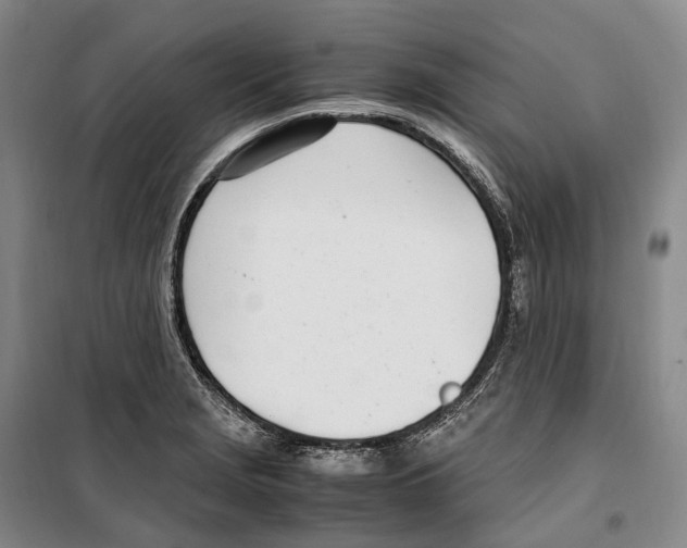 X0000099401229200806051200