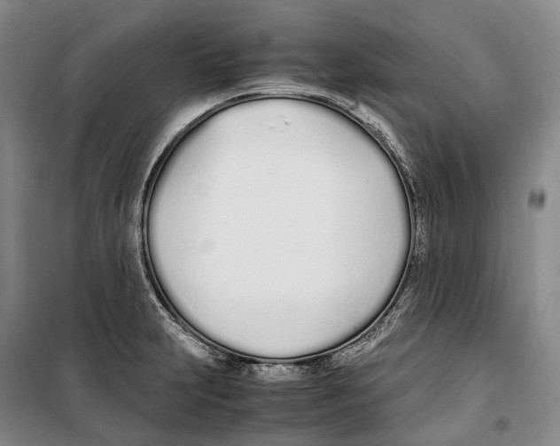 X0000099401231200806051200