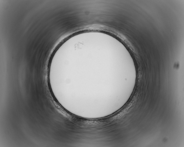 X0000099401232200806051200
