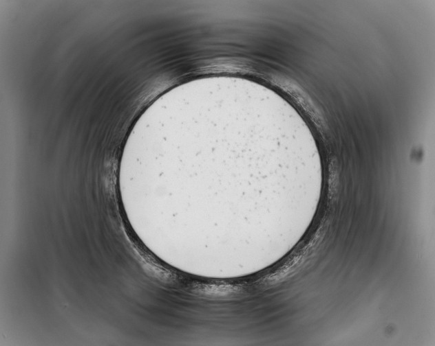 X0000099401233200806051200