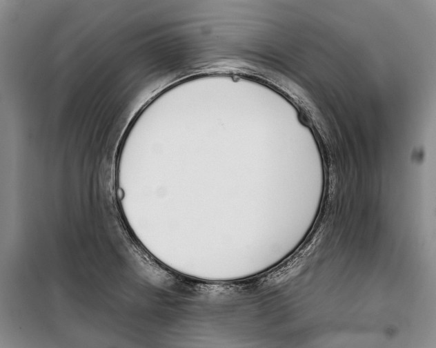 X0000099401234200806051200
