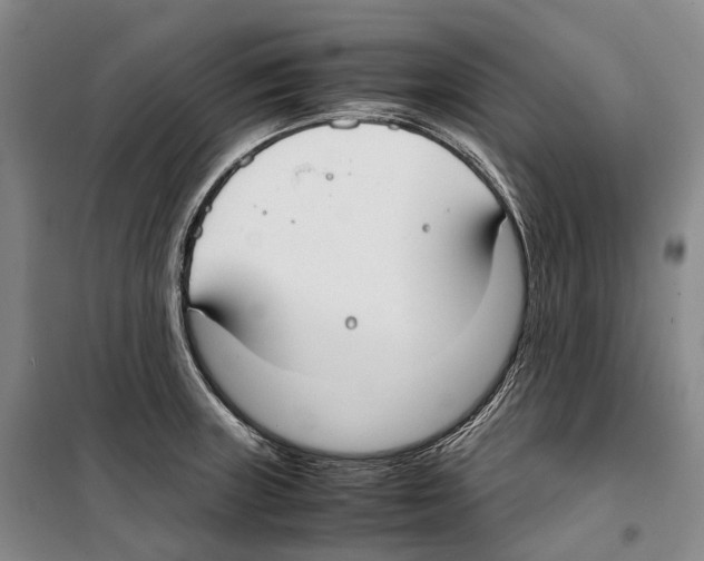 X0000099401235200806051200