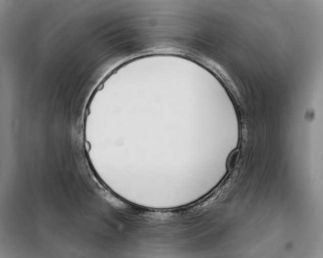 X0000099401236200806051200