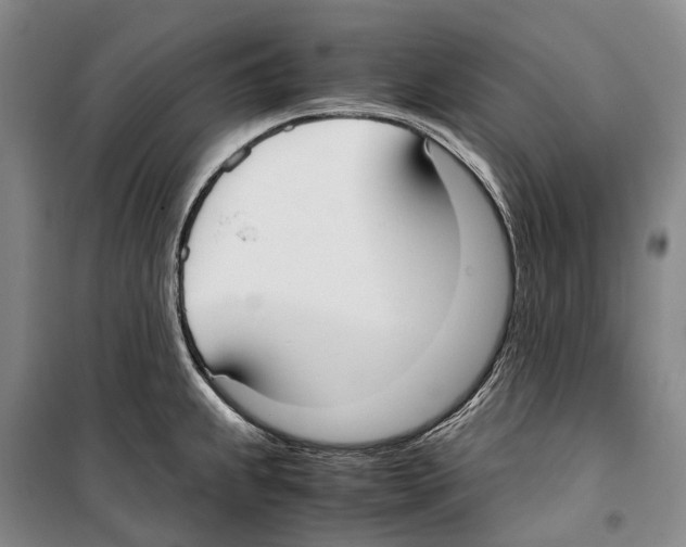 X0000099401239200806051200