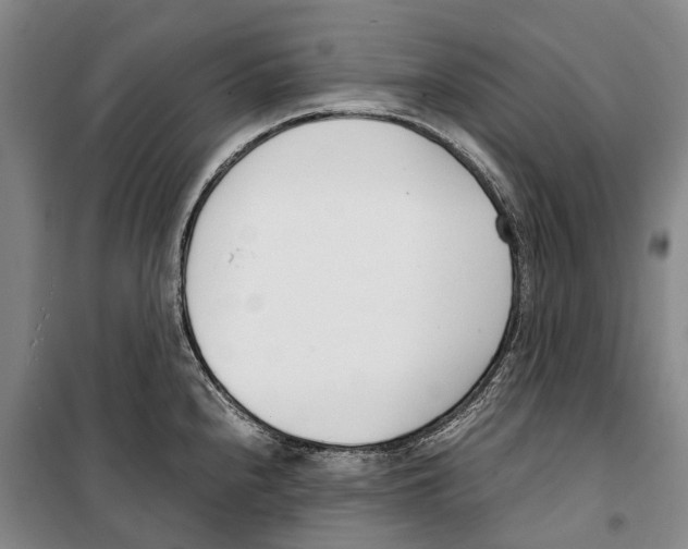 X0000099401240200806051200