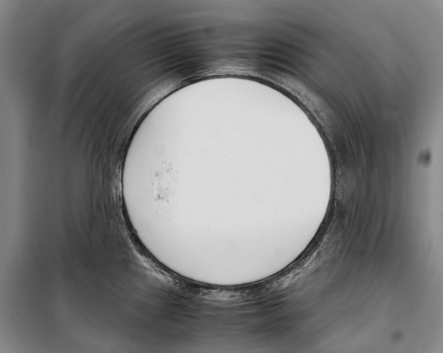 X0000099401241200806051200