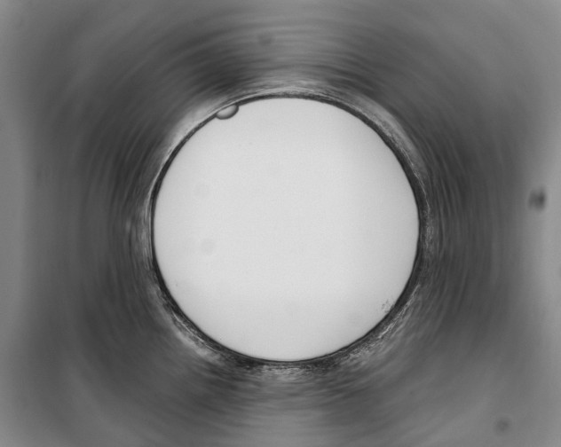 X0000099401242200806051200