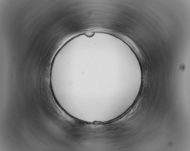 X0000099401244200806051200
