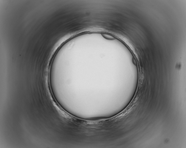 X0000099401245200806051200