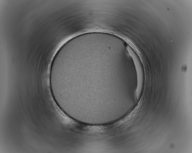 X0000099401246200806051200
