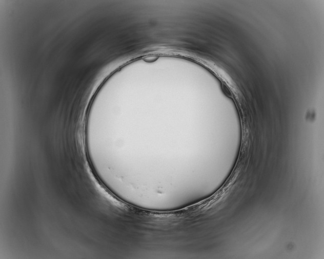 X0000099401247200806051200