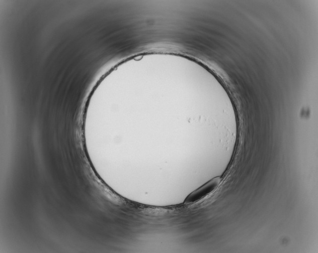 X0000099401248200806051200