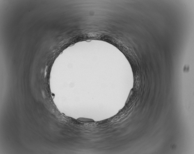 X0000099401249200806051200