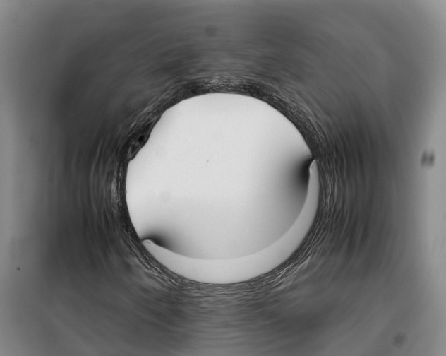 X0000099401250200806051200