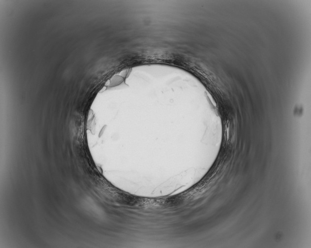 X0000099401251200806051200