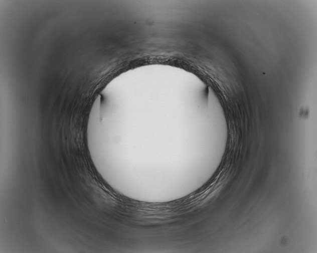 X0000099401252200806051200