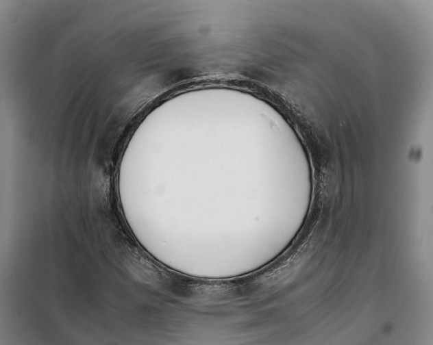 X0000099401257200806051159
