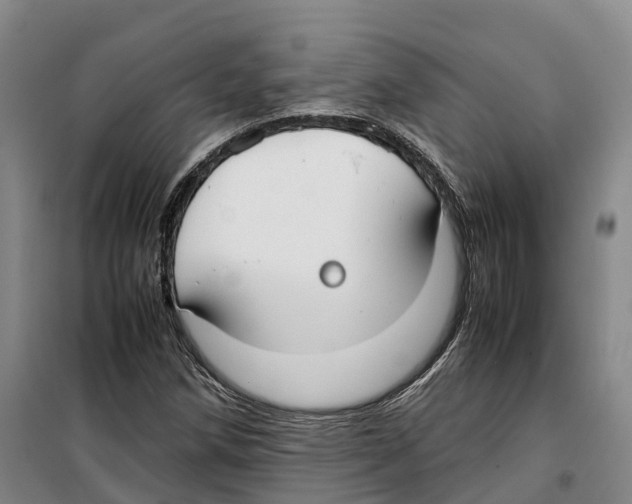 X0000099401258200806051159