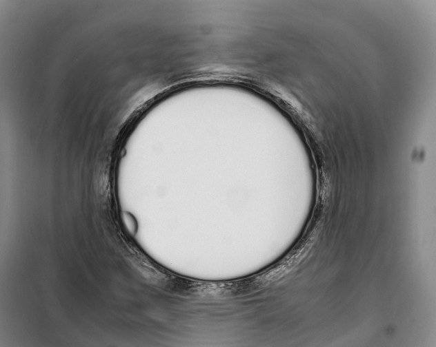 X0000099401259200806051159