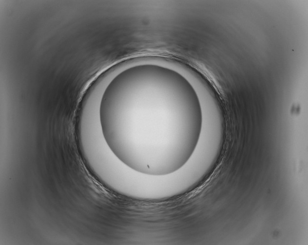 X0000099401260200806051159