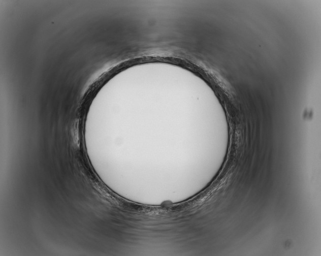 X0000099401262200806051159