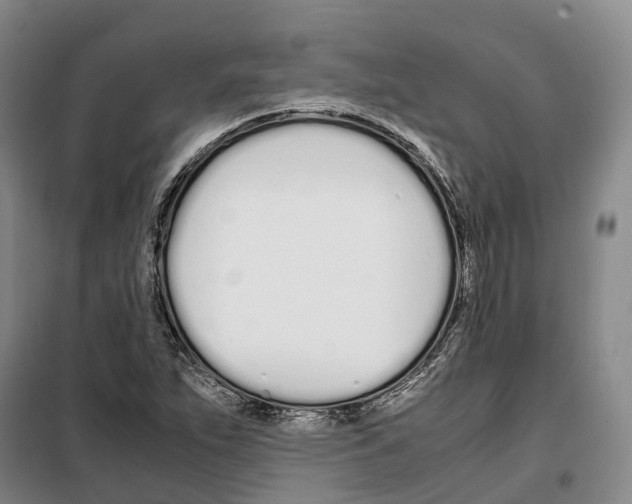 X0000099401263200806051159
