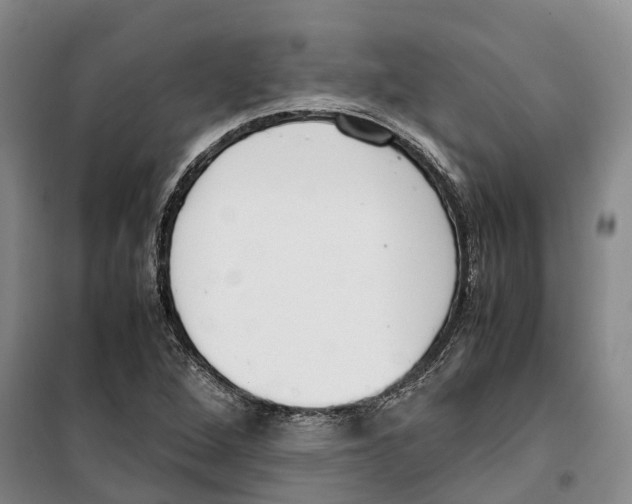 X0000099401264200806051159